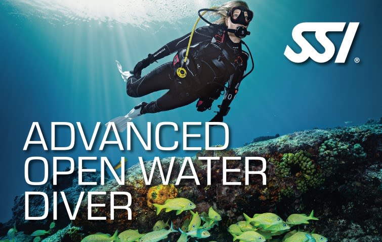 Advanced Open Water - Nusa Penida